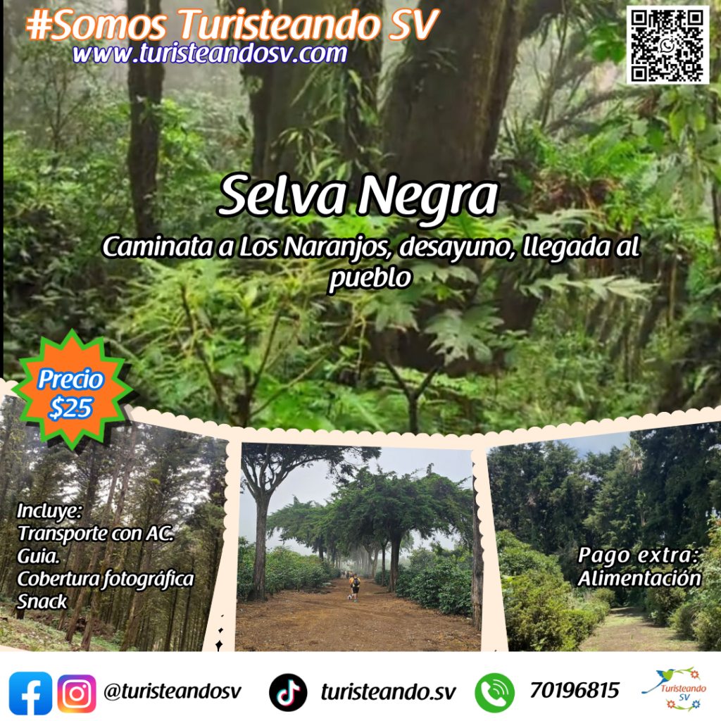 Selva Negra